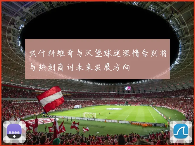 武什科维奇与汉堡球迷深情告别将与热刺商讨未来发展方向