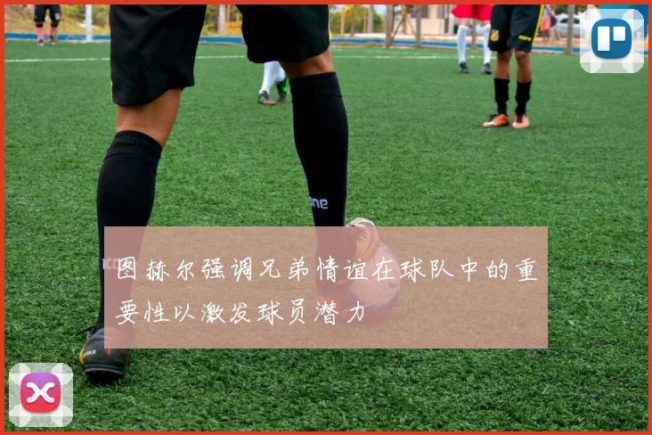 图赫尔强调兄弟情谊在球队中的重要性以激发球员潜力